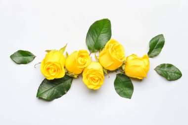 Açık arkaplanda güzel sarı güller olan kompozisyon