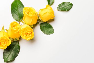 Açık arkaplanda güzel sarı güller olan kompozisyon