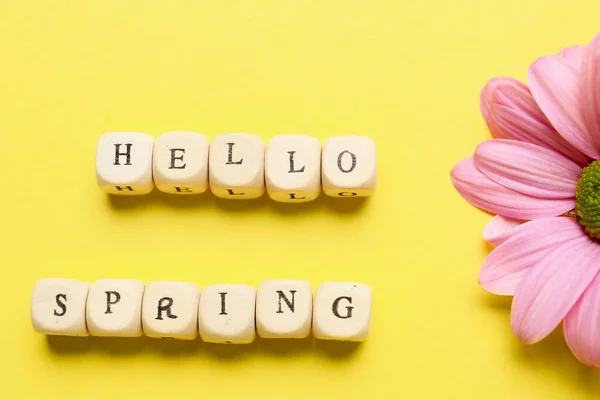 Text Hello Spring Flower Color Background — Stock Photo, Image