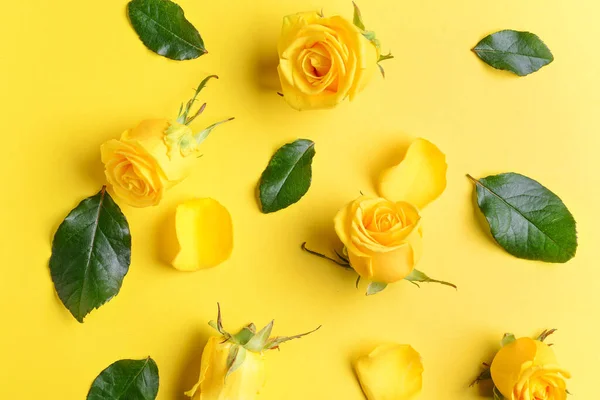 Composition Beautiful Yellow Roses Color Background — Stock Photo, Image