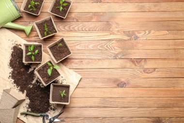 Tahta arka plandaki turba saksılarına fidanlar eker.