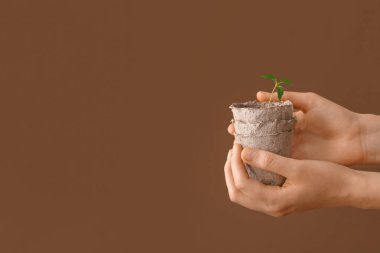 Arkaplanda çiçek fidanları olan kadın elleri