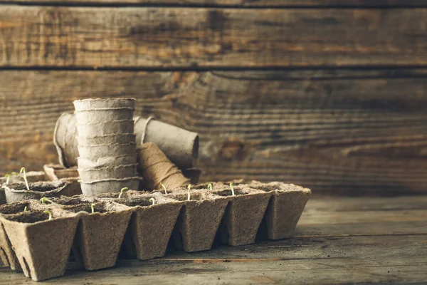 木のテーブルの上の泥炭ポットキットの植物の苗 — ストック写真