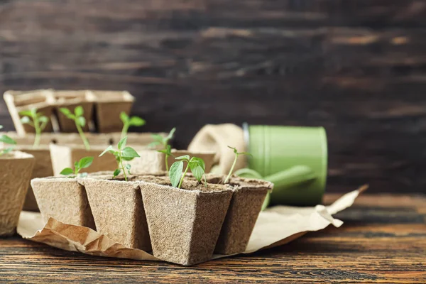 木のテーブルの上の泥炭ポットキットの植物の苗 — ストック写真