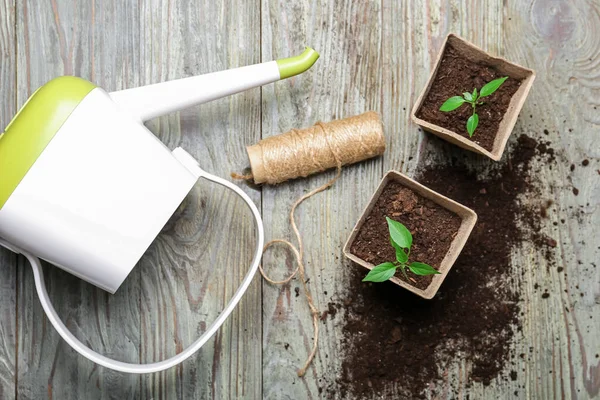 Rega Pode Plantas Mudas Vasos Turfa Kit Sobre Fundo Madeira — Fotografia de Stock