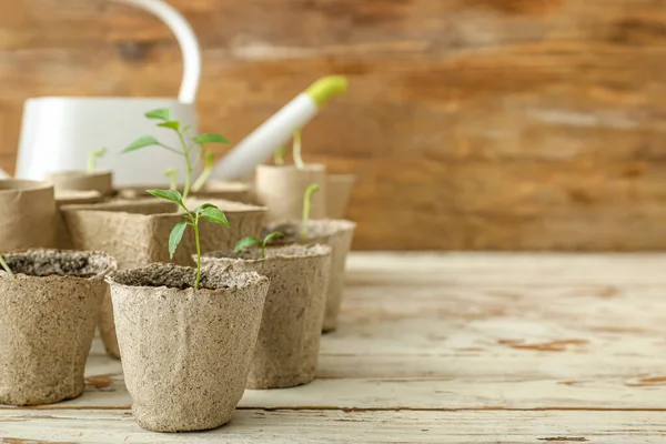 Plants Seedlings Peat Pots Wooden Table — Stock Photo, Image