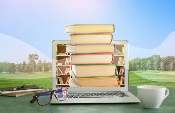 Moderno Portátil Con Libros Mesa Parque Concepto Biblioteca Línea — Foto de Stock