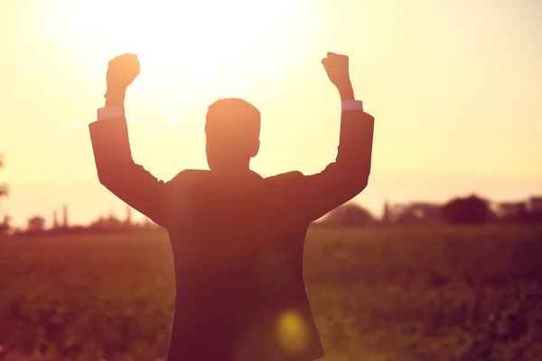 Silueta Hombre Negocios Aire Libre Concepto Logro Metas — Foto de Stock