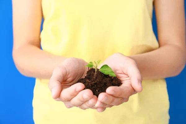 Female Hands Soil Plant Closeup — Stock Photo, Image