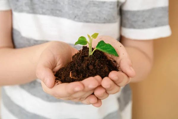 Child Hands Soil Plant Closeup — Stock Photo, Image