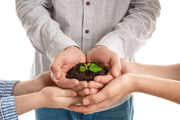 Handen Van Familie Met Bodem Plant Geïsoleerd Witte Achtergrond — Stockfoto