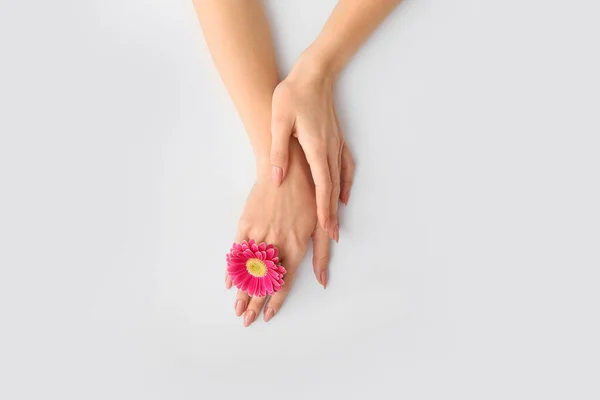 Mains Féminines Avec Belle Fleur Sur Fond Clair — Photo