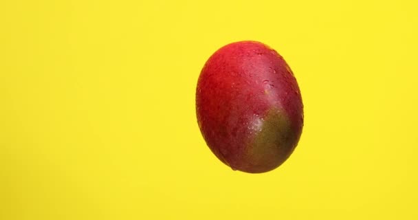 Renkli Arkaplanda Tatlı Olgun Mango — Stok video