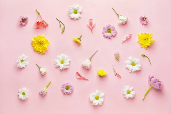 Muchas Hermosas Flores Primavera Fondo Color — Foto de Stock