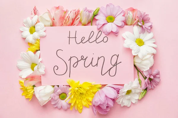 Beautiful Flowers Card Text Hello Spring Color Background — Stock Photo, Image