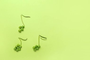 Renk arkaplanındaki bezelyelerden yapılmış notalar