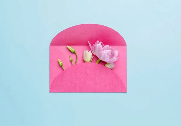 Envelope Beautiful Flowers Color Background — Stock Photo, Image