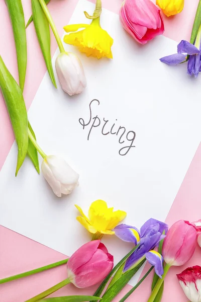 Piękne Kwiaty Papier Tekstem Spring Tle Koloru — Zdjęcie stockowe