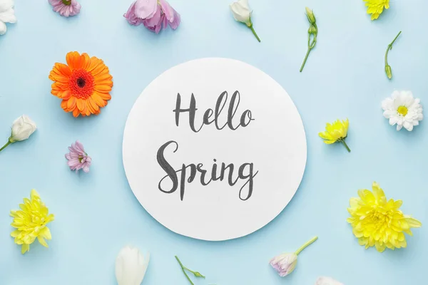 Many Beautiful Flowers Card Text Hello Spring Color Background — Stock Photo, Image