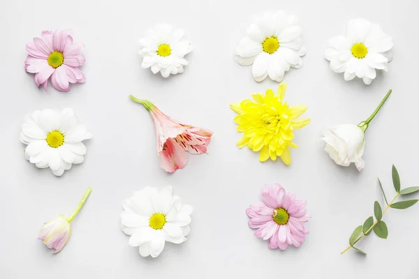 Veel Mooie Bloemen Lichte Achtergrond — Stockfoto