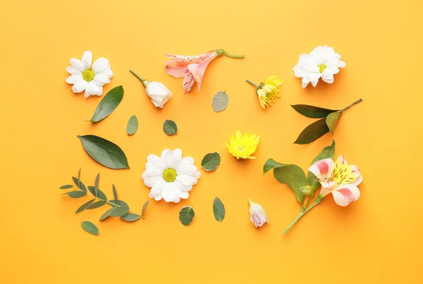 Veel Mooie Lente Bloemen Kleur Achtergrond — Stockfoto