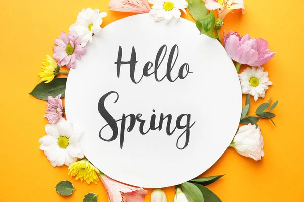 Gyönyörű Virágok Kártya Szöveggel Hello Spring Színes Háttér — Stock Fotó