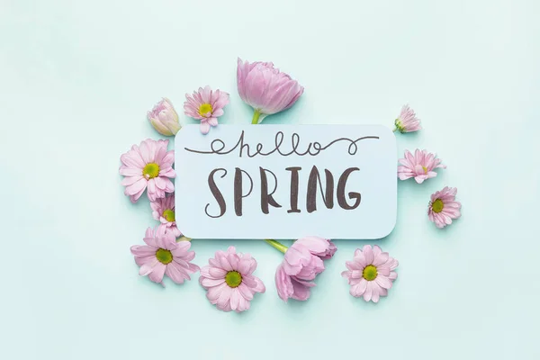 Beautiful Flowers Card Text Hello Spring Color Background — Stock Photo, Image