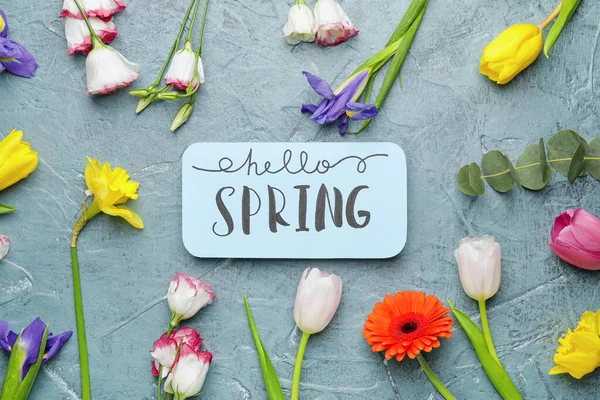 Hermosas Flores Tarjeta Con Texto Hello Spring Sobre Fondo Color — Foto de Stock