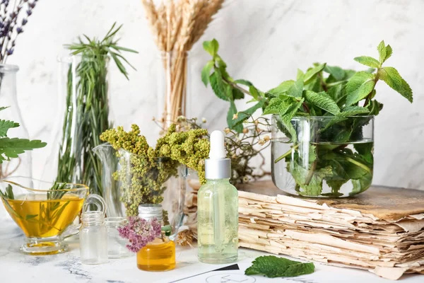 Libro Viejo Con Ingredientes Para Preparar Pociones Sobre Fondo Blanco — Foto de Stock