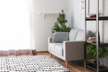 Kanepeli, şık bir oda.