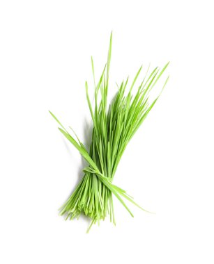 Beyaz arka planda taze yeşil buğday çimi