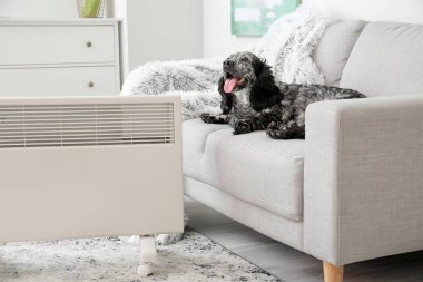 Evde ısıtıcının yanında sevimli bir köpek var. Isınma mevsimi kavramı