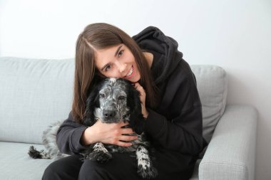 Ev sahibi olan sevimli bir köpek. Isınma mevsimi kavramı