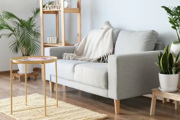 Interior Bergaya Ruang Tamu Dengan Sofa — Stok Foto