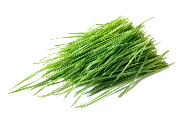 Frisches Grünes Weizengras Auf Weißem Hintergrund — Stockfoto