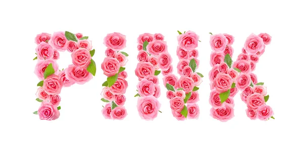 Pink Palabra Hecha Hermosas Rosas Sobre Fondo Blanco — Foto de Stock