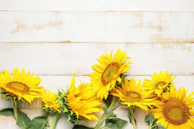 Hafif ahşap arka planda güzel ayçiçekleri