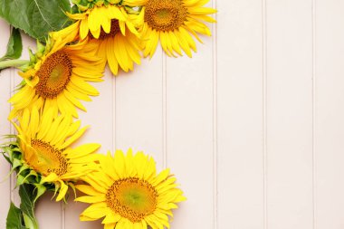 Hafif ahşap arka planda güzel ayçiçekleri