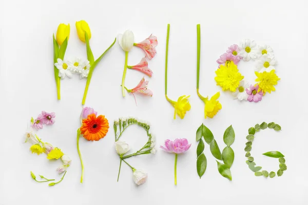 Tekst Hello Spring Gemaakt Van Bloemen Witte Achtergrond — Stockfoto