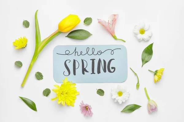 Card Text Hello Spring Beautiful Flowers White Background — Stock Photo, Image