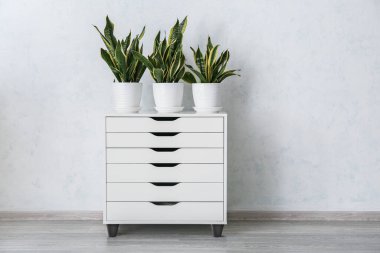 Odadaki beyaz duvarın yanındaki çekmecelerde saksılar