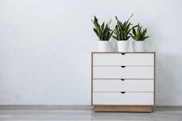 Houseplants Chest Drawers White Wall Room — Stock Photo, Image
