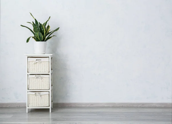 Houseplant Rack White Wall Room — Stock Photo, Image