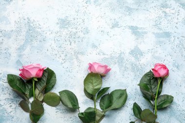 Renkli arkaplanda güzel pembe güller