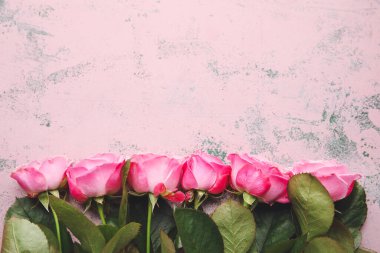 Renkli arkaplanda güzel pembe güller