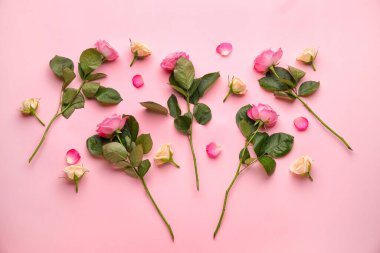 Renkli arkaplanda güzel güller