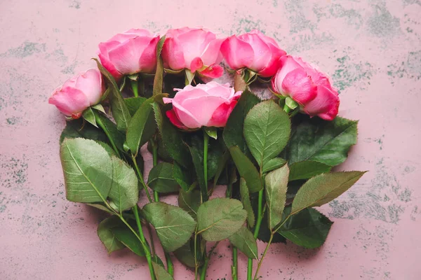 Beautiful Pink Roses Color Background — Stock Photo, Image