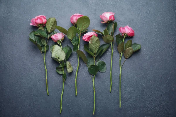 Beautiful Pink Roses Grey Background — Stock Photo, Image