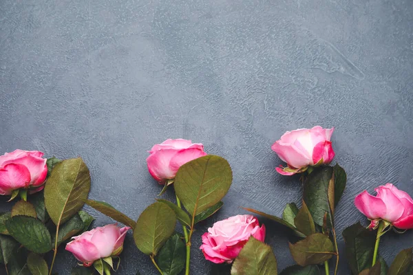 Hermosas Rosas Rosadas Sobre Fondo Gris — Foto de Stock