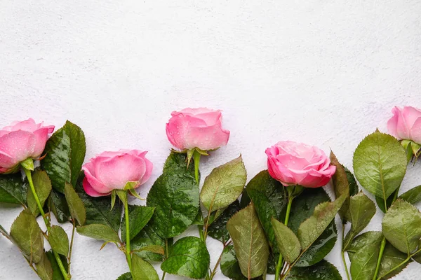 Beautiful Pink Roses Light Background — Stock Photo, Image